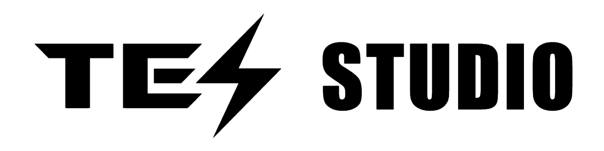 Tesla Accessories |Tesstudio logo