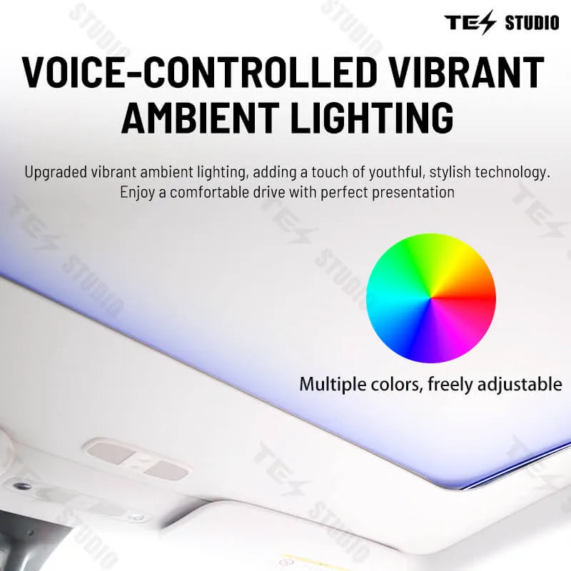Tesstudio Tesla Model Y Voice-Controlled Electric Sunshade with Ambient Lighting/테스튜디오 테슬라 모델 Y 음성 제어 전동식 선쉐이드(앰비언트 조명 포함) - 롤러 스타일