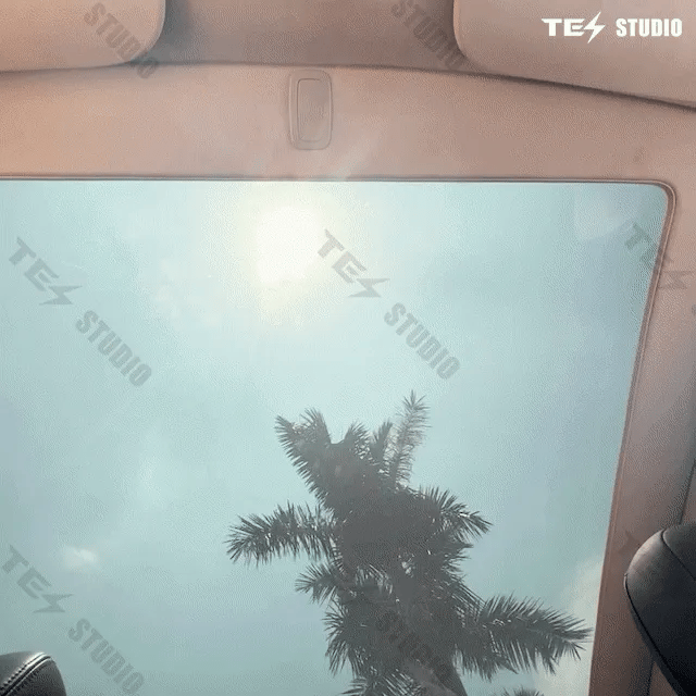 테슬라 모델 Y 전동 선쉐이드/Electric Retractable Sunshade for Tesla Model Y with Front and Rear Button