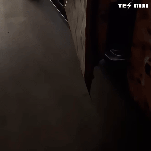 Tesla Cybertruck Projection Lights Door Step Light Tesstudio®-Cricut Friendly Cybertruck Logo