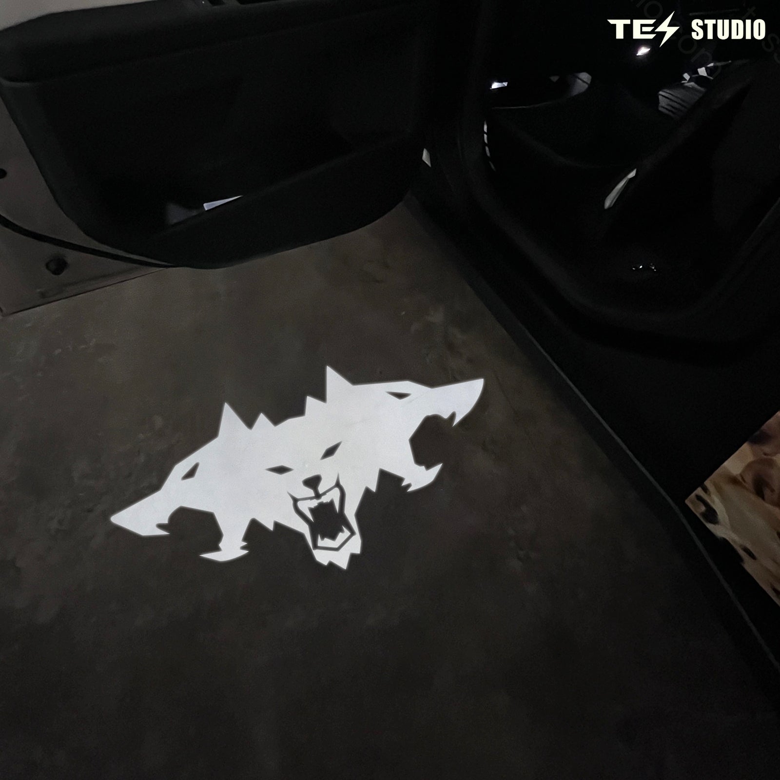 Tesstudio Tesla Cybertruck Welcome Door Projection Lights Inspired Logo