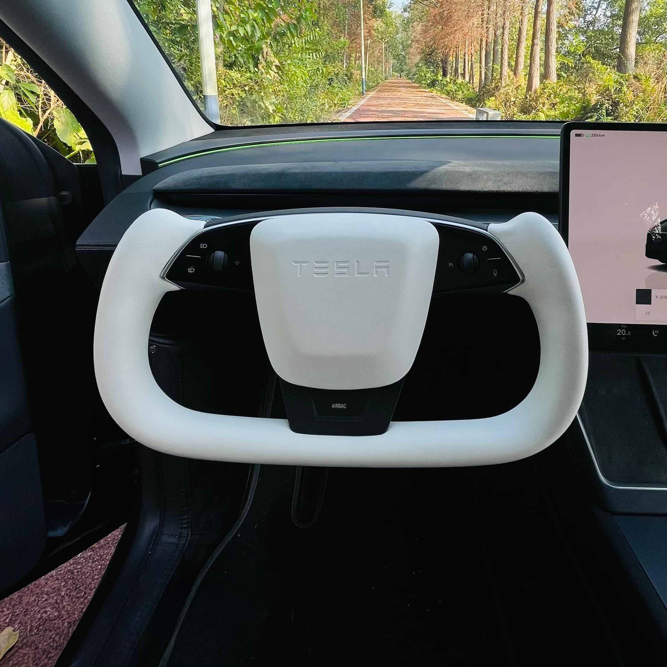 Tesla Yoke Steering Wheel — paddle behind wheel