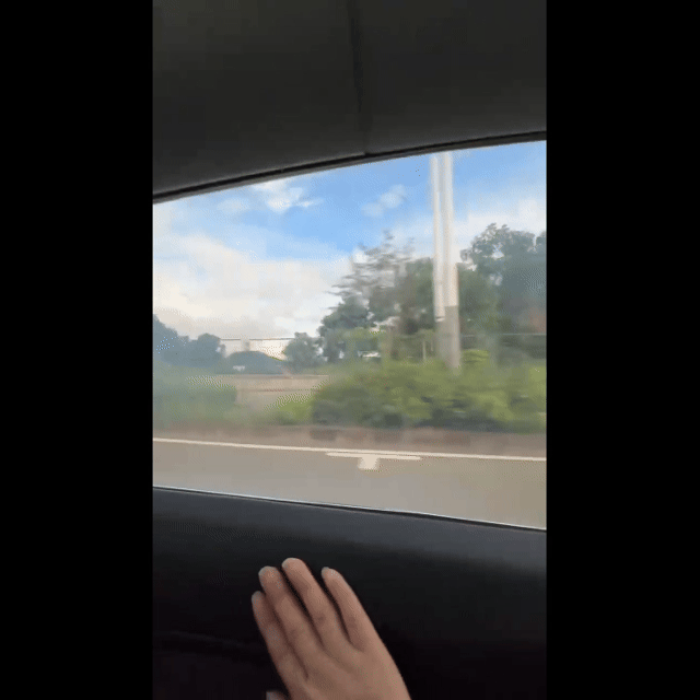 Electronic Dimming Privacy Film for Model 3 / 3 Highland/ Y / Y Juniper / Y Standard