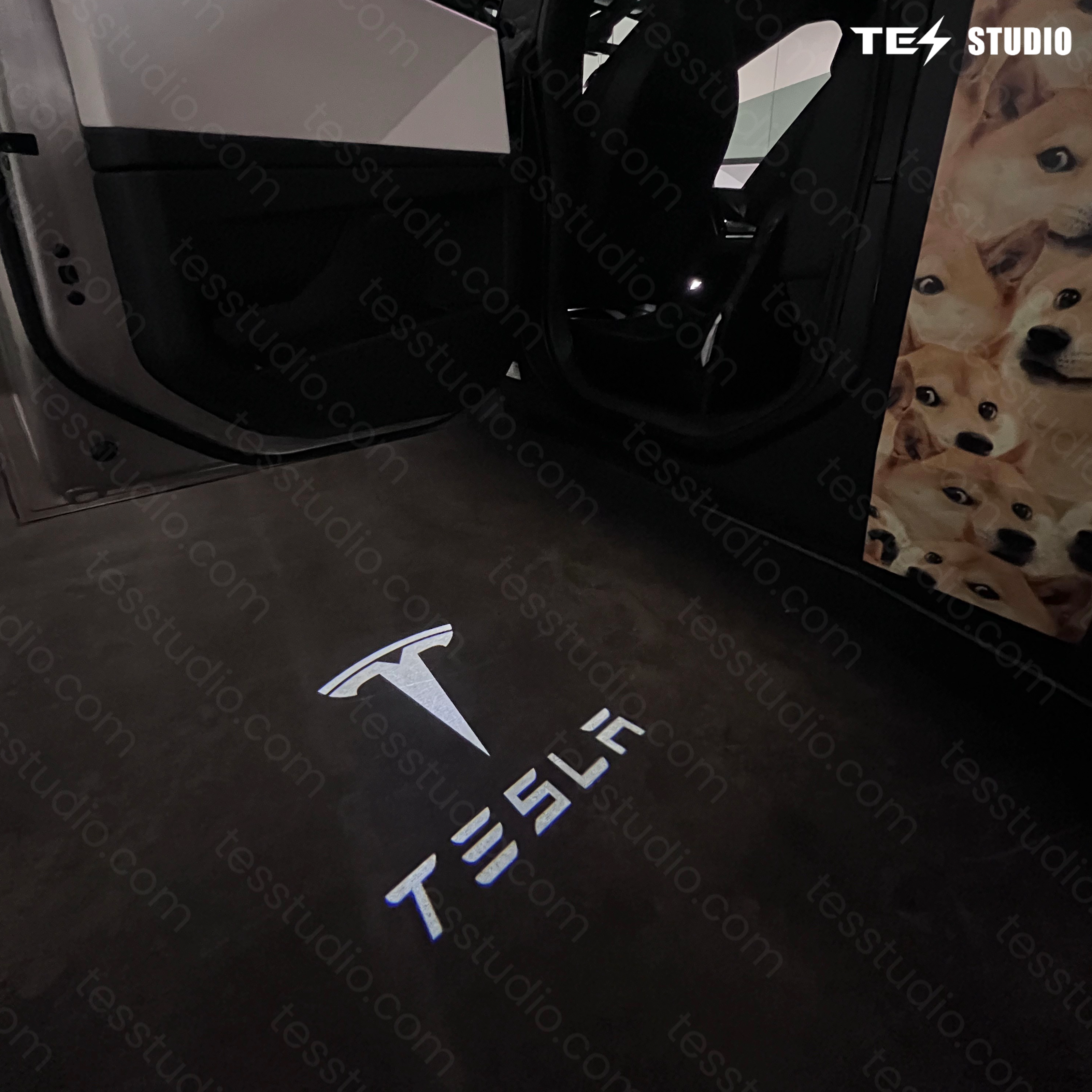 Tesla Accessories Welcome Puddle Lights Cybertruck Projector Door Step Light Interior Lights Bulbs Tesstudio®