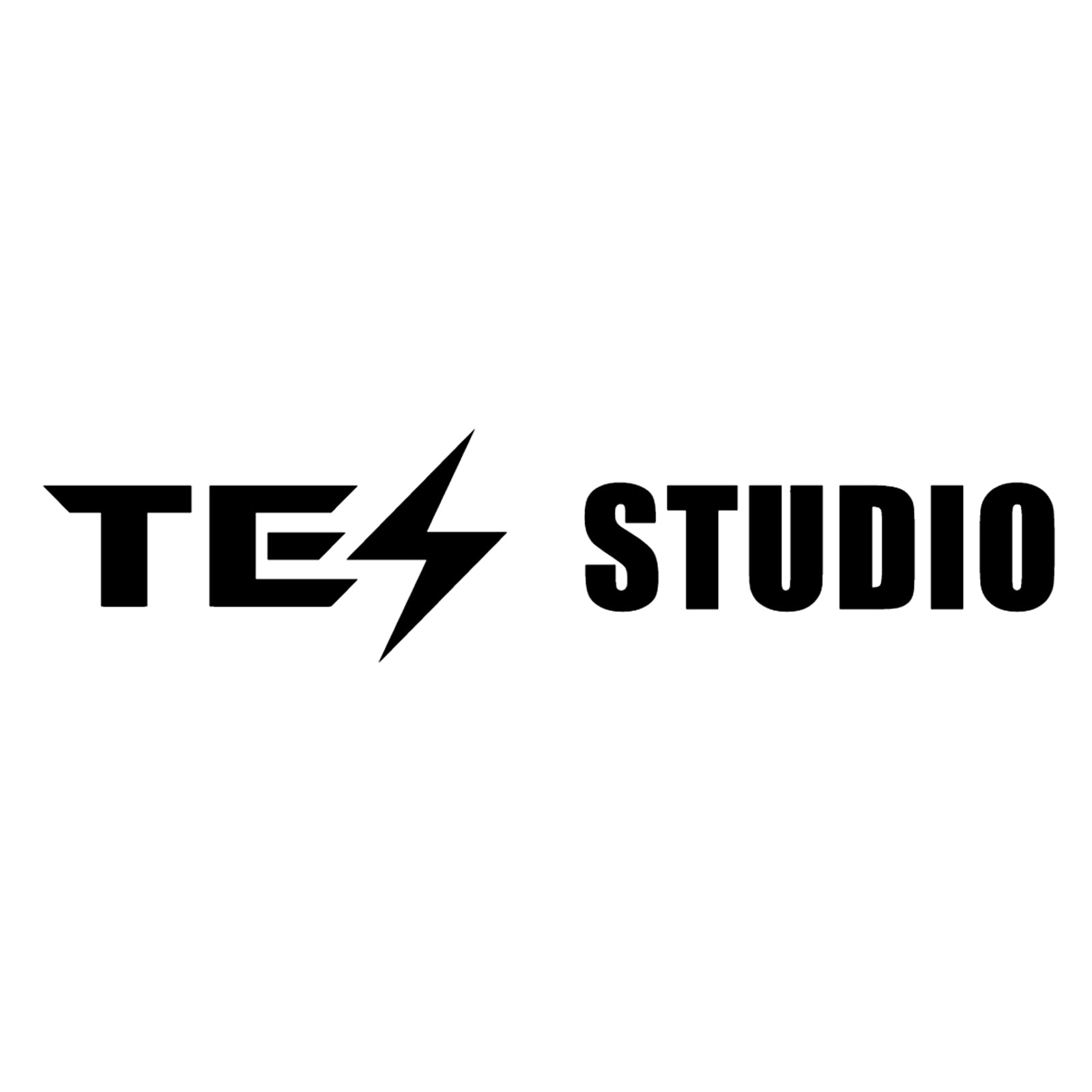 Tesstudio Custom Payment Link